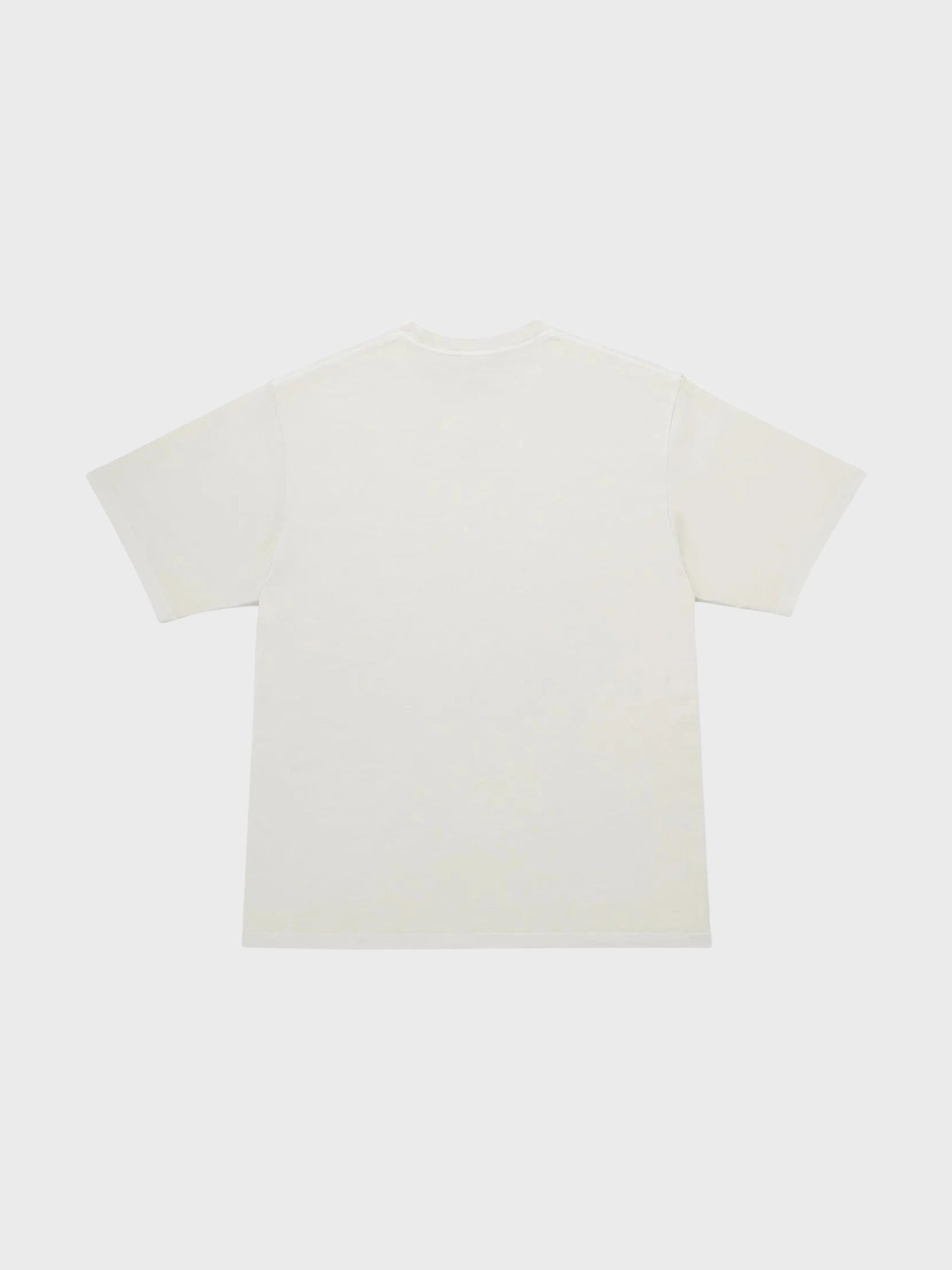 Freedom Tee Pigment Dyed — back