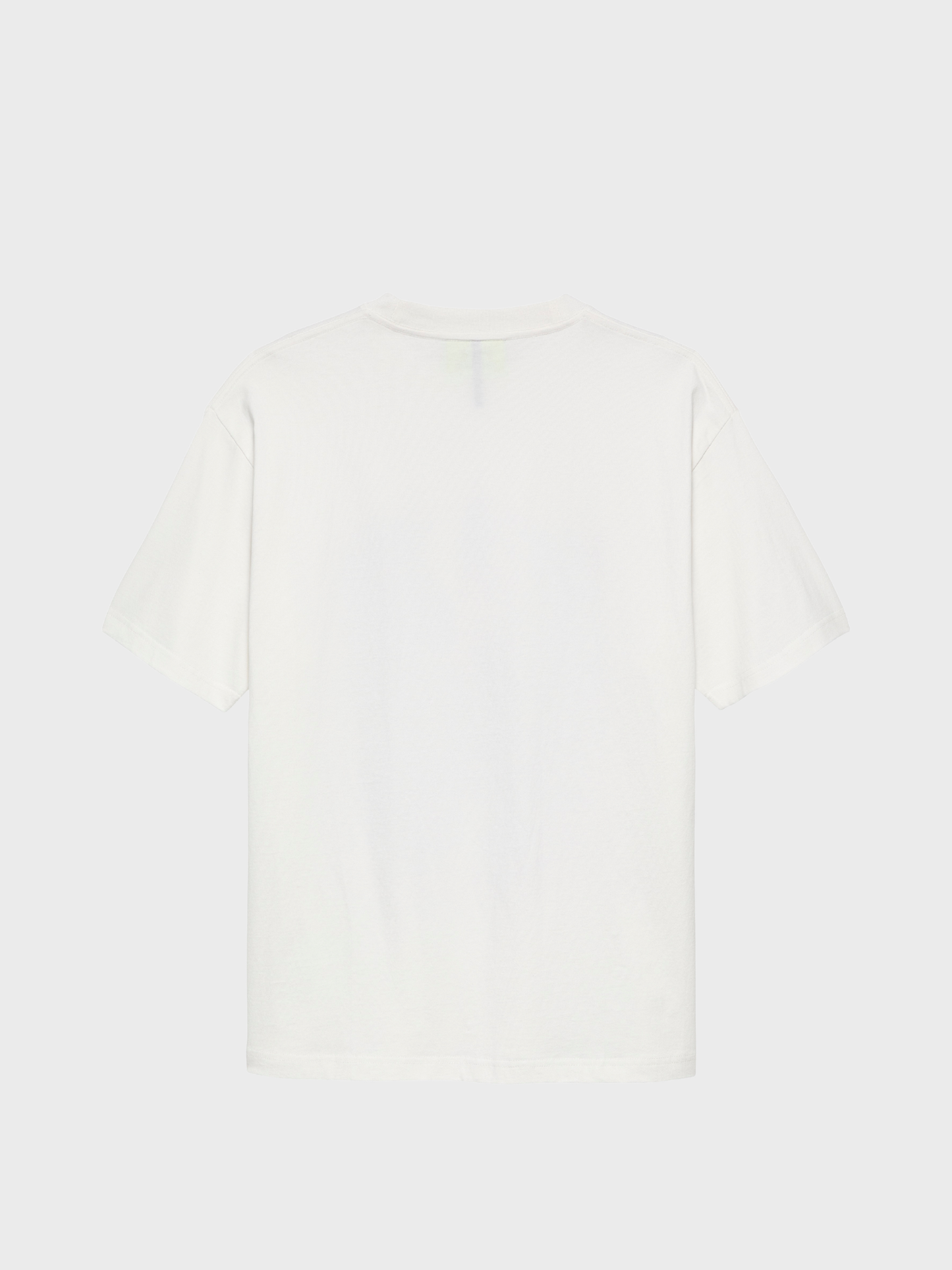New Amsterdam Surf Association City of Water Tee in Washed White, back view
