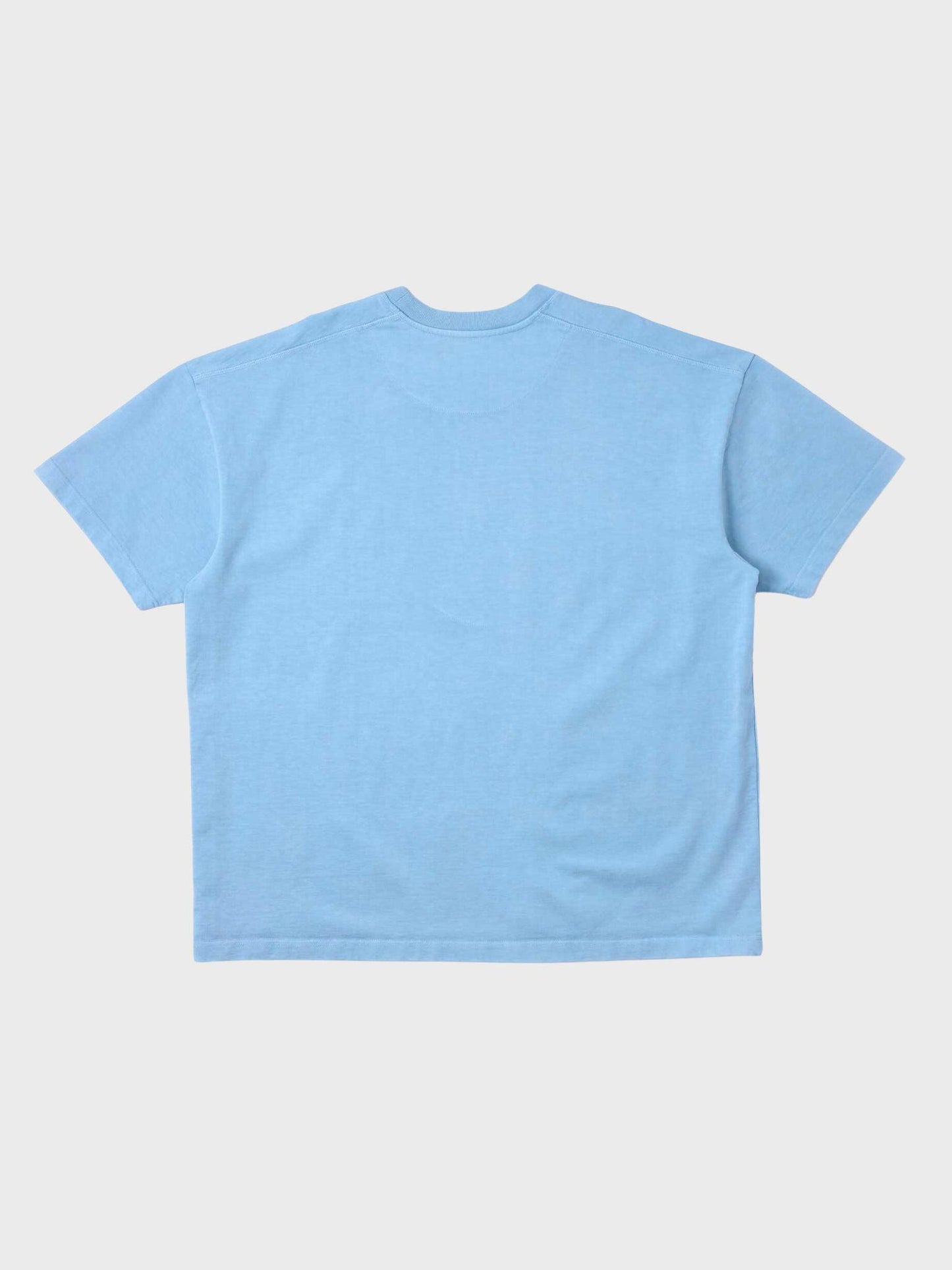 New Amsterdam Surf Association NA Tee in Blauw