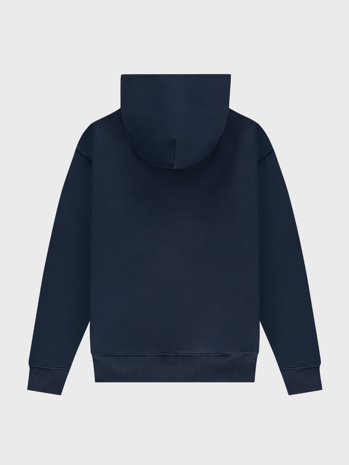 Big Logo Zip Up Hoodie