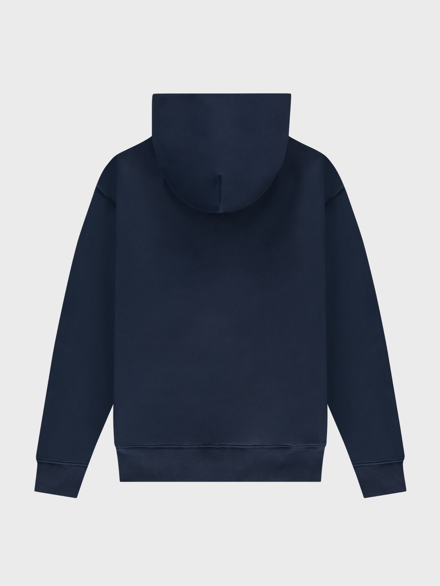 Big Logo Zip Up Hoodie