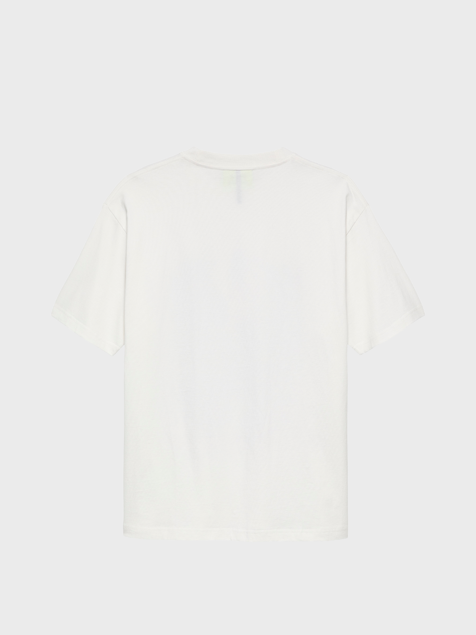 New Amsterdam Surf Association City of Water Tee in Washed White, back view